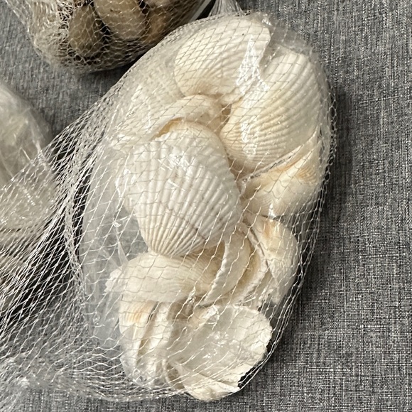 Assorted Seashell / pebble Collection - Picture 4 of 4